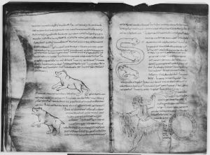 Hyginus p.172v-173r - 1025 (circa)