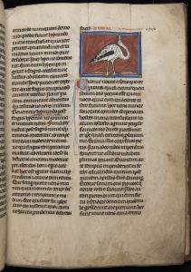 Sidney Sussex College - 100, fol. 18r - 1230 (circa)