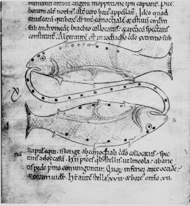 Bodleian Library - Digby 83, fol. 58v - 12th century (third quarter)
