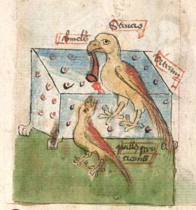 Bayerische Staatsbibliothek - Cgm 3974, fol. 32r - 1440 (circa)