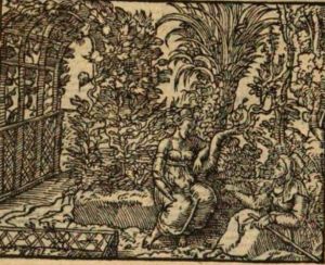 Ovid (Publius Ovidius Naso) - 1564