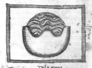 Ermengaud, Matfre p.36r - 15th century