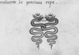 Biblioteca Ambrosiana - Cod. C.20 inf., fol. 11r - 16th century (early)