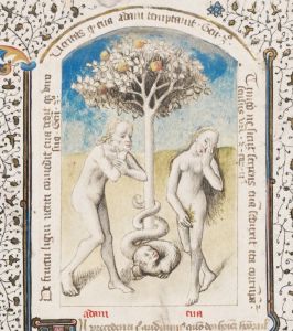 Stiftsbibliothek - Cod. 206(49), fol. 6 - 1450 (circa)