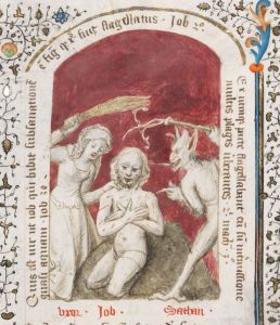 Stiftsbibliothek - Cod. 206(49), fol. 41 - 1450 (circa)