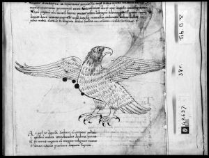 Cicero p.38r - 11th century (early)