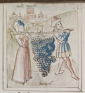 Bibliothèque municipale - 236, fol. 45r - 15th century (late)
