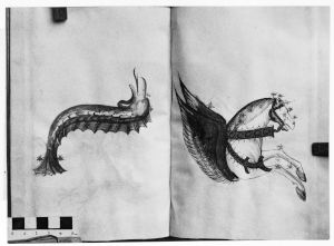 Hyginus p.56v-57r - 15th century