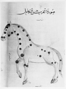 al-Sufi p.103r - 1430