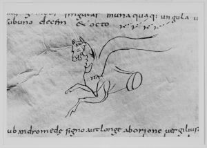 Dombibliothek - 83 II, fol. 161r - 798