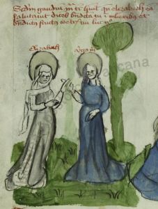 Biblioteca Apostolica Vaticana - Pal. lat. 1806, fol. 49r - 1401 (circa)