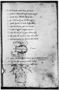 Basinio da Parma (Basinius Parmensis) p.49r - 15th century (second half)