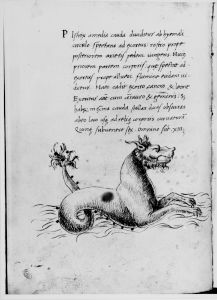 Hyginus p.26v - 15th century