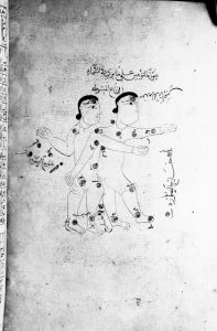 al-Sufi p.115v - 1125