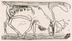 Palaeolithic - 14000 BC