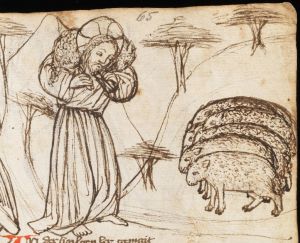 Kantonsbibliothek - VadSlg Ms. 352, fol.1-2, fol. 65 - 1440 (circa)