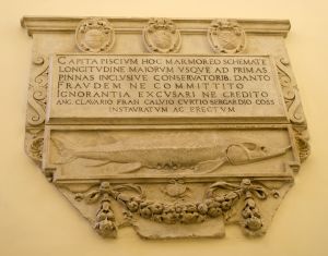 Roman - 1581