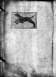Germanicus Caesar p.66v - 11th century