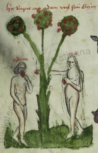 Biblioteca Apostolica Vaticana - Pal. lat. 1806, fol. 3v - 1401 (circa)