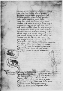 Basinio da Parma (Basinius Parmensis) p.3v - 15th century (second half)