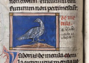 Sidney Sussex College - 100, fol. 18v - 1230 (circa)