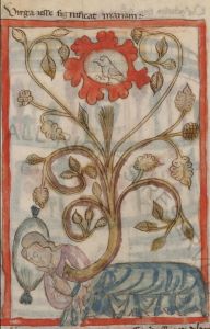 Biblioteca Apostolica Vaticana - Reg. lat. 99, fol. 6v - 1428