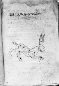 al-Sufi p.121v - 1130
