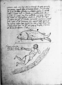 Scot, Michael p.38 - 15th century