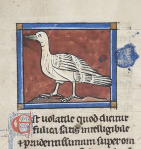 Sidney Sussex College - 100, fol. 26v - 1230 (circa)