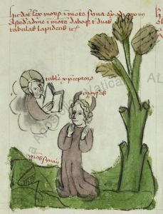 Biblioteca Apostolica Vaticana - Pal. lat. 1806, fol. 36r - 1401 (circa)