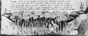 Simintendi, Arrigo p.64r - 1370