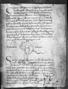 Sächsische Landesbibliothek - Dc 183, fol. 16r - 9th century (second half)