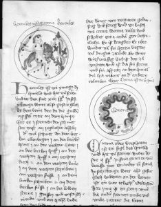 Scot, Michael p.119r - 1436
