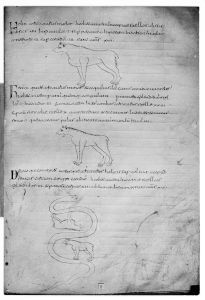 Pseudo-Beda p.177 - 879 (circa)