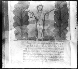 Biblioteca Comunale degli Intronati - L. IV. 25, fol. 4v - 15th century