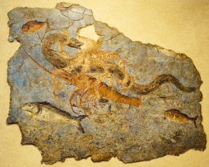 Ancient Roman - 2nd century (second quarter)