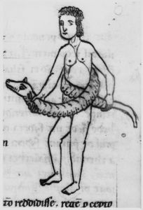Hyginus p.11v - 12th century