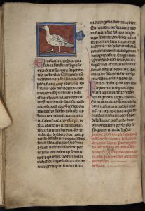 Sidney Sussex College - 100, fol. 26v - 1230 (circa)