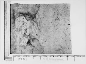 Girolamo da Carpi  (1501-1556) - 16th century (second quarter)