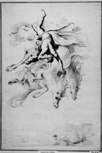 Bolognese - 16th century