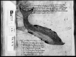 Cicero p.38v - 11th century (early)