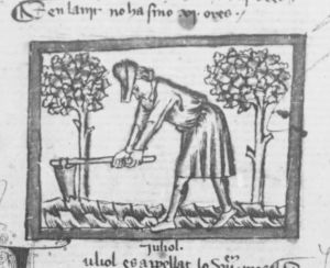 Ermengaud, Matfre p.43v - 15th century
