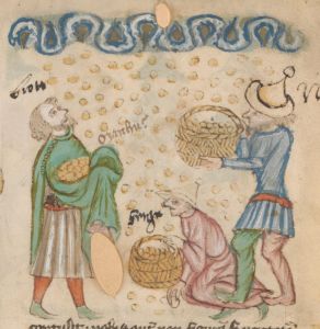 Biblioteka Uniwersytecka - I F 108 a, fol. 11r - 15th century (first half)