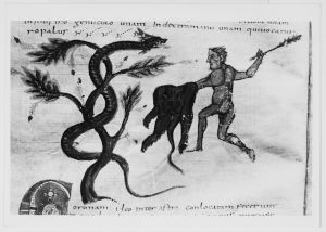 Dombibliothek - 83 II, fol. 156v - 798