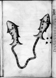 al-Sufi p.32v - 14th century
