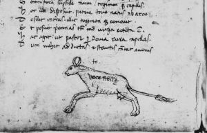 Ovid (Publius Ovidius Naso) p.12v - 1473