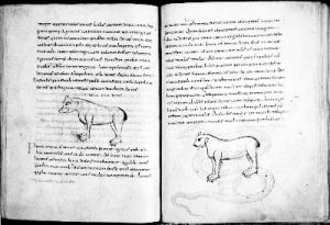 Stiftsbibliothek - 250, fol. 474-475 - 9th century (fourth quarter)