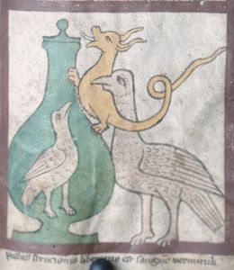 Historisches Archiv - Best. 7020 (W (with asterisk)) 105, fol. 109 - 14th century (second half)