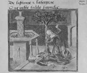 Kongelige Bibliotek - Thott 399, fol. 104v - 1484 (circa)