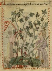 Biblioteca Nacional de España - 8562, fol. 9r - 15th century